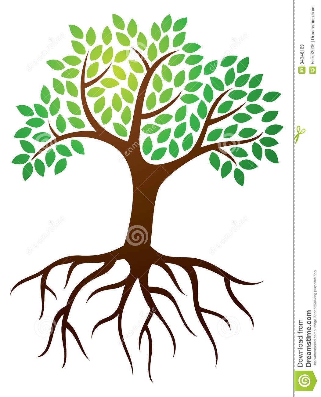 clipart tree root