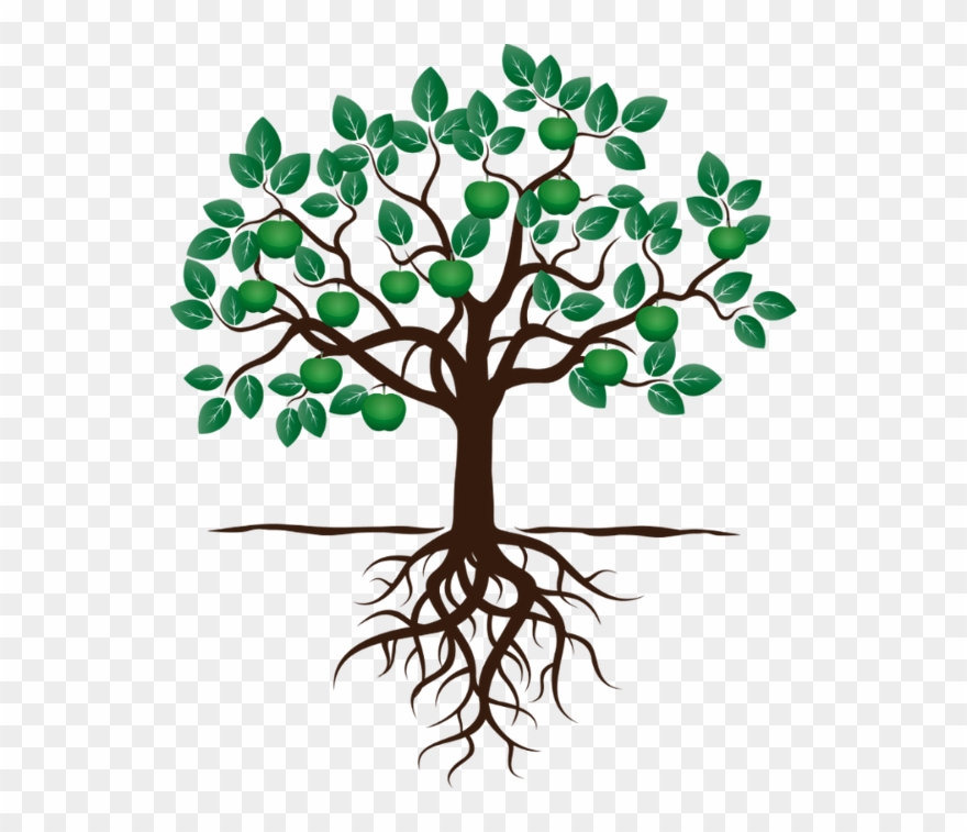roots clipart apple tree