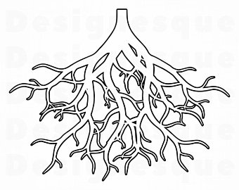 roots clipart black and white