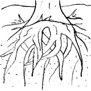 roots clipart black and white