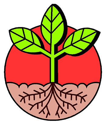 roots clipart botany science