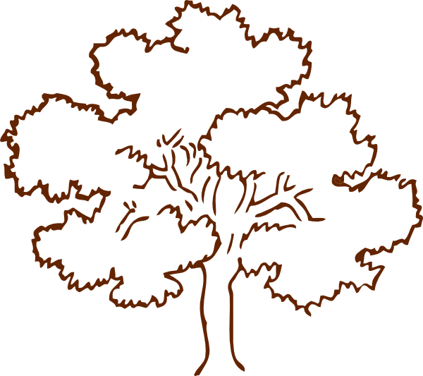 roots clipart brown tree