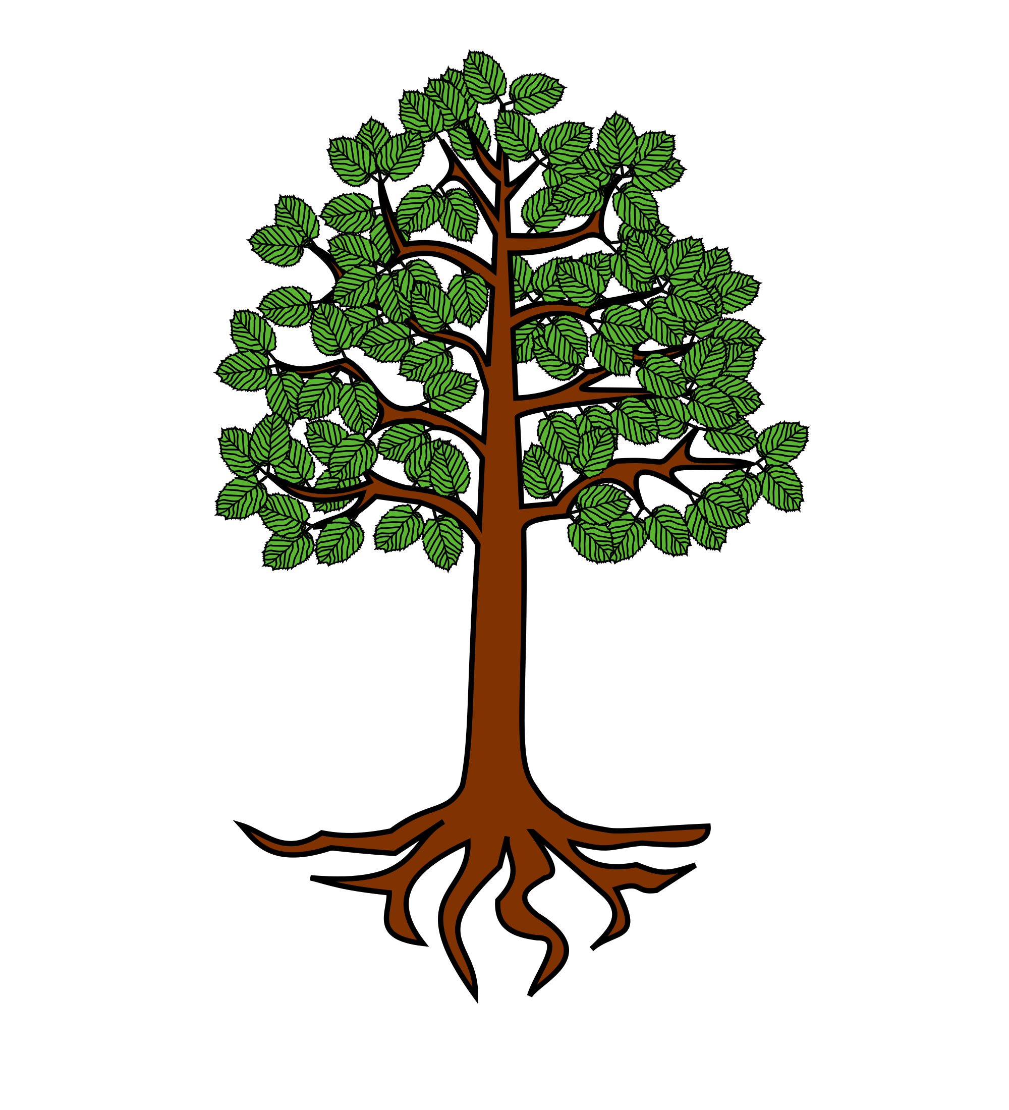 roots clipart cartoon tree