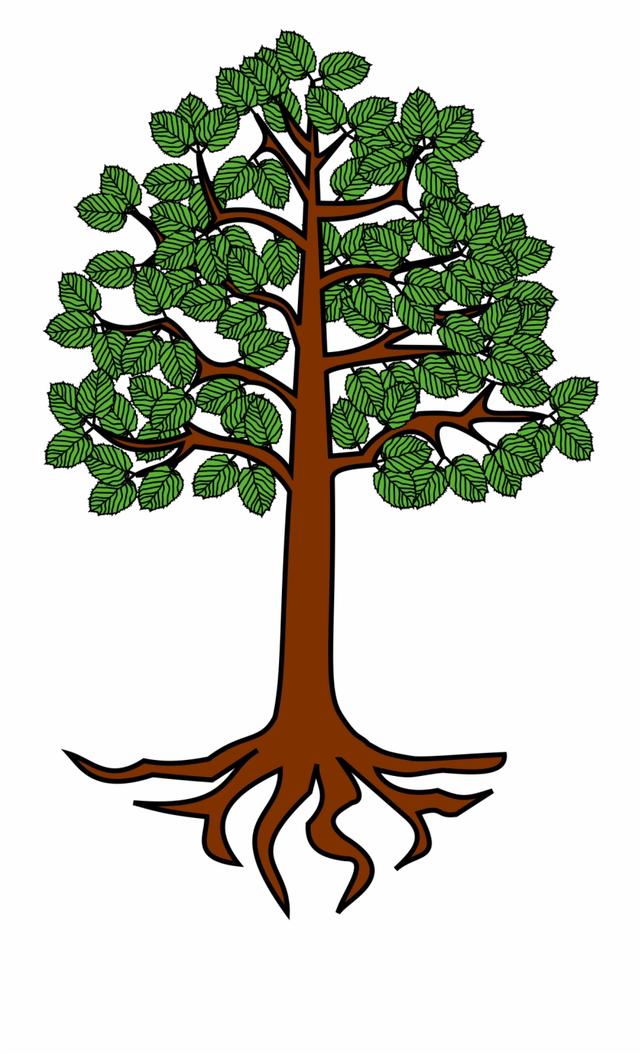 roots clipart cartoon tree