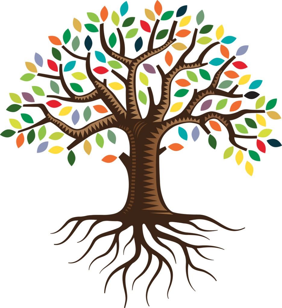 roots clipart colorful tree