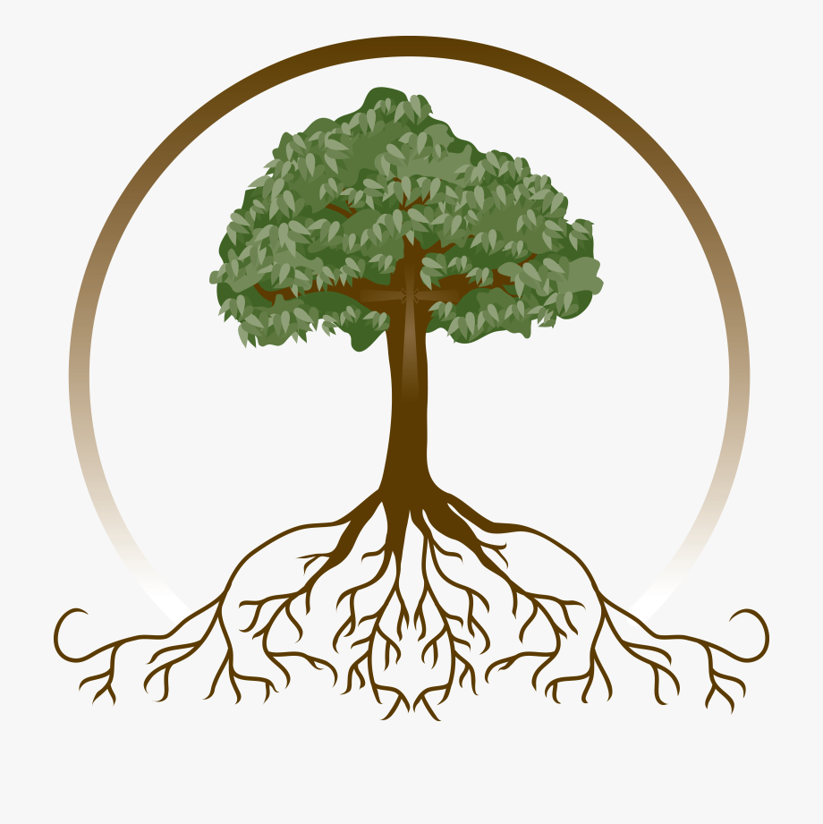 roots clipart detailed tree