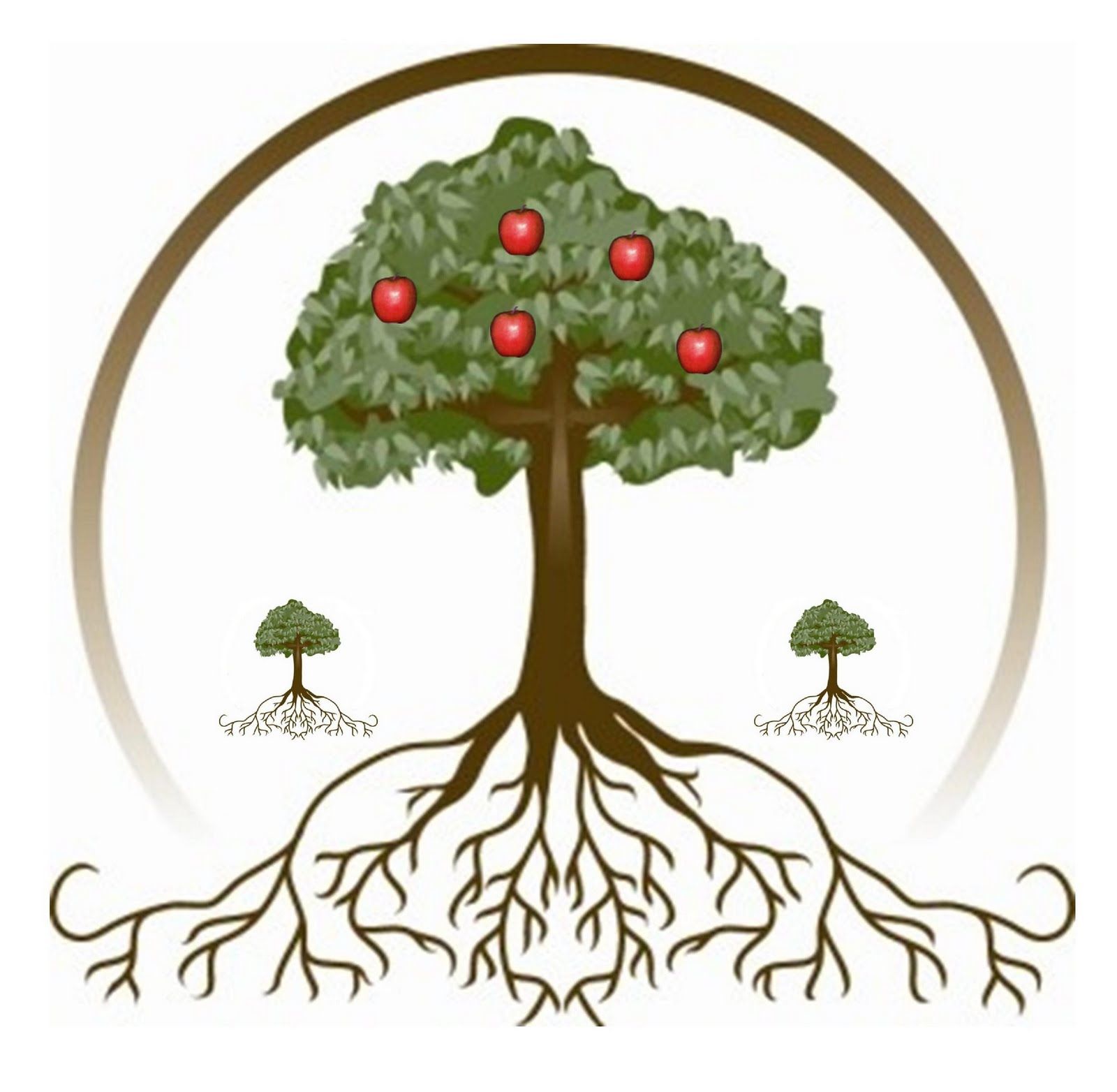roots clipart detailed tree