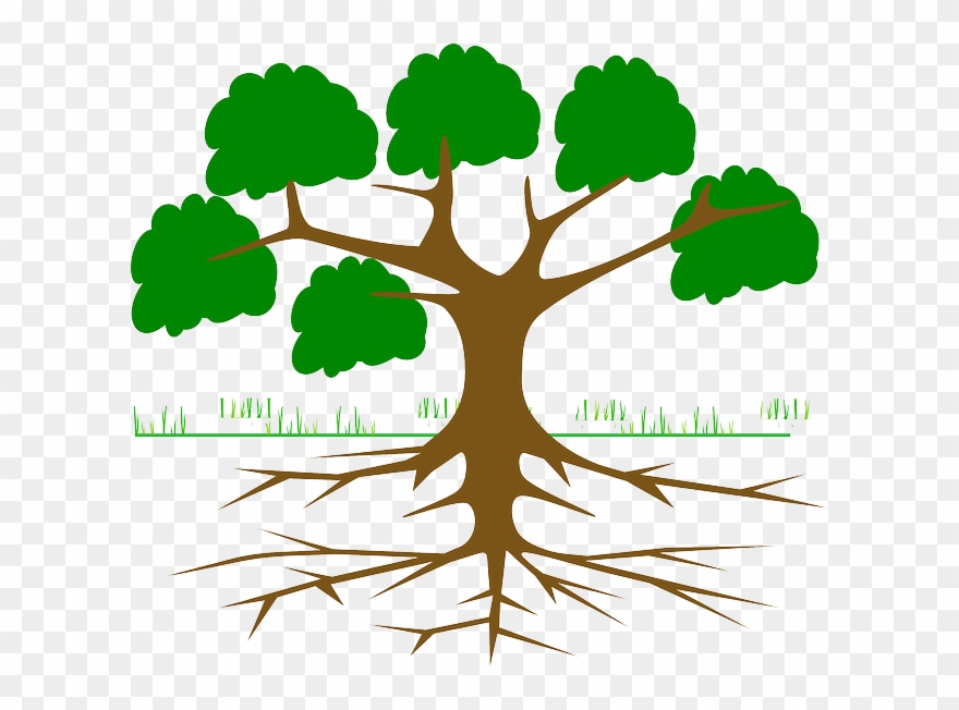 roots clipart english