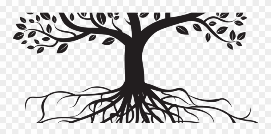 Roots clipart family tree, Roots family tree Transparent FREE for