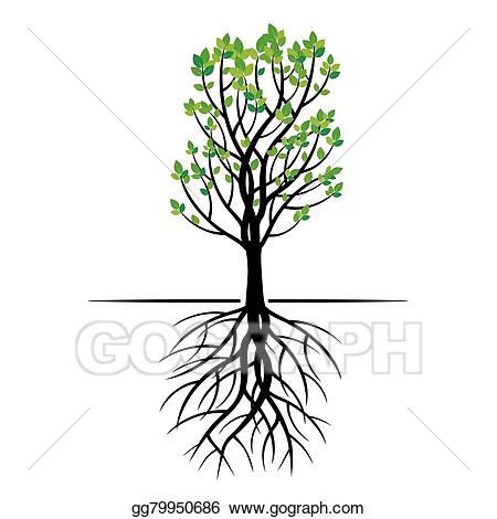roots clipart green