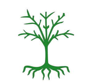 Root free download best. Roots clipart green