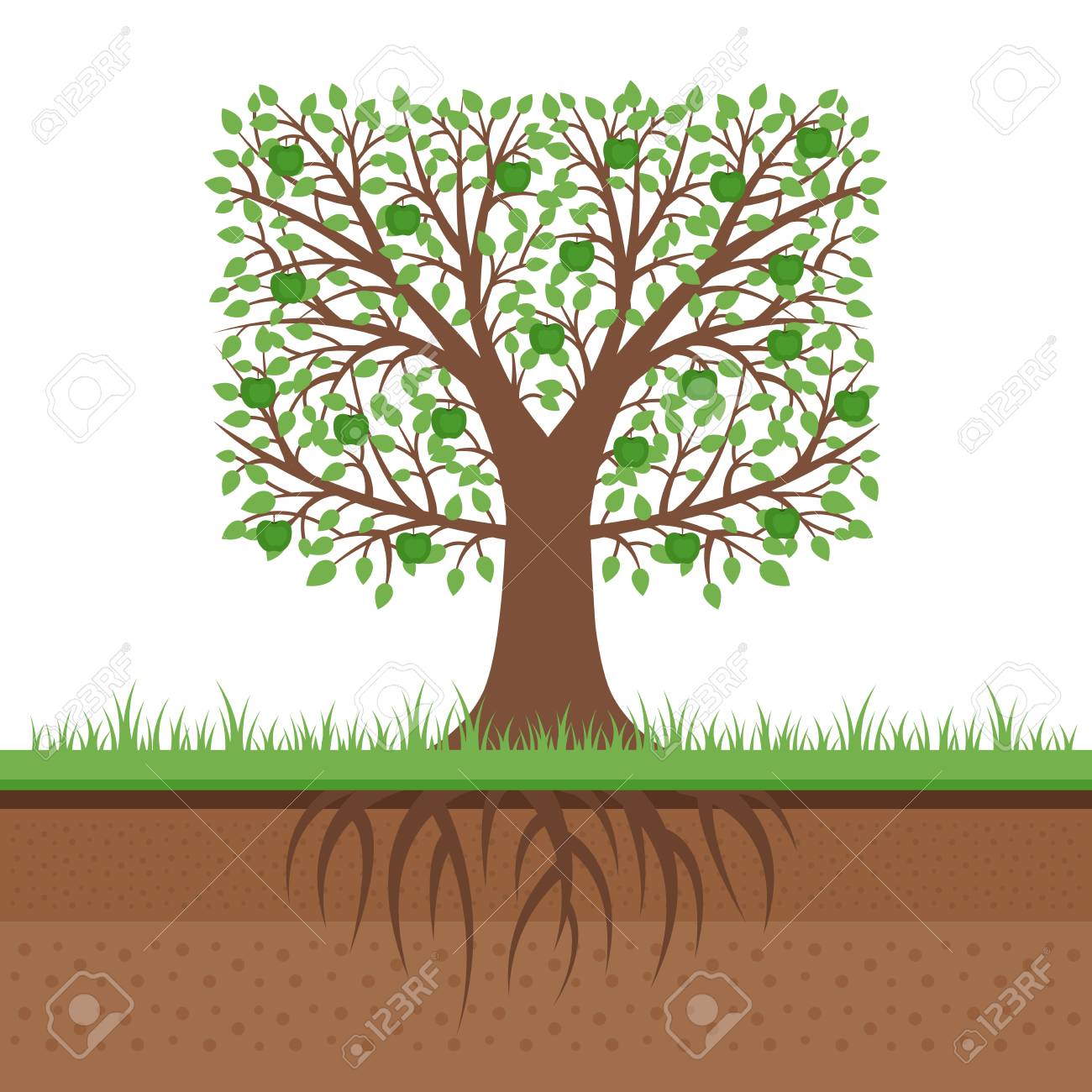 roots clipart landscaping