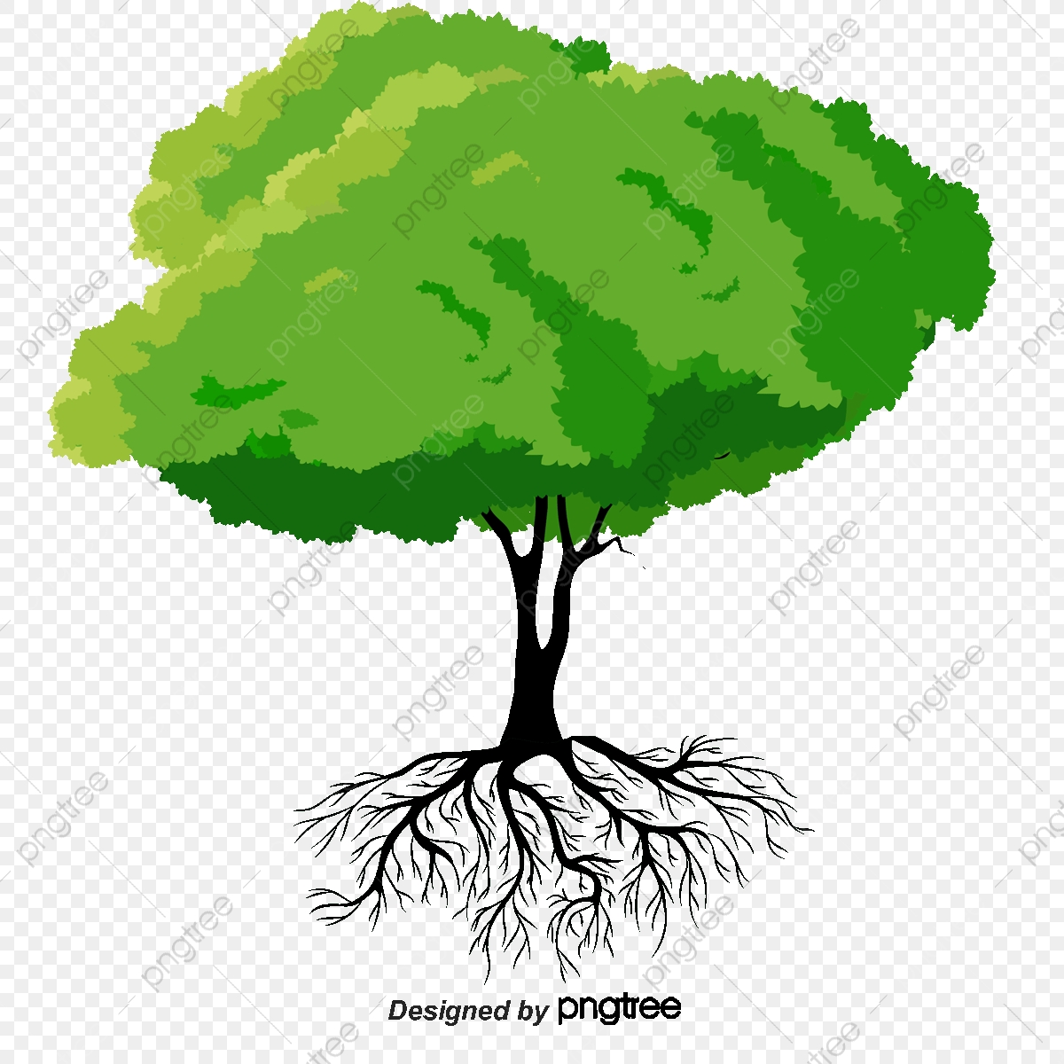 roots clipart language tree