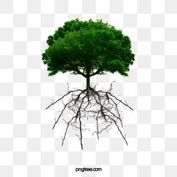 roots clipart log