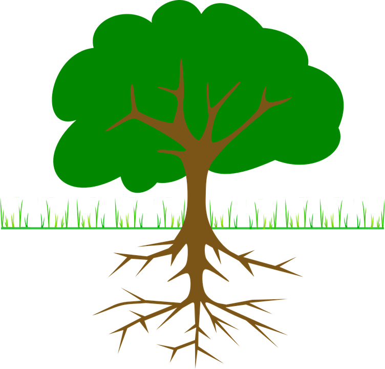 roots clipart root texas