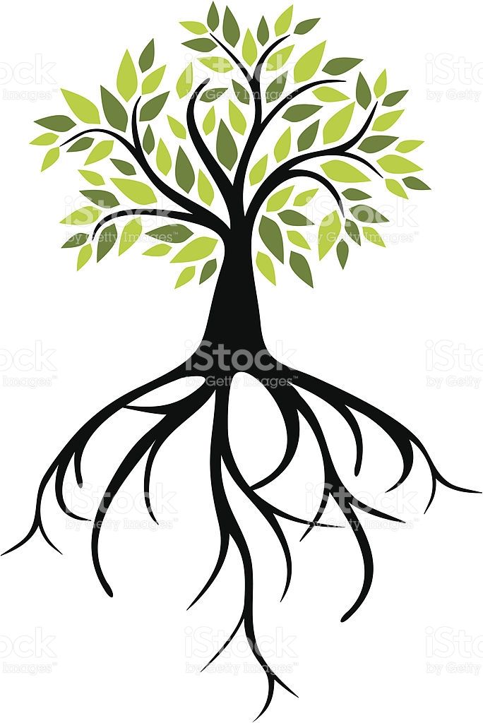 roots clipart root word