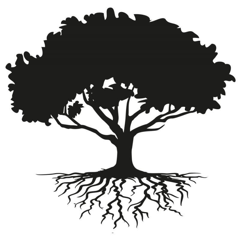 roots clipart rooted tree