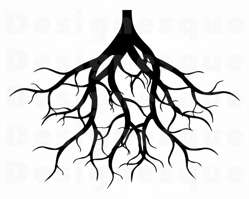 roots clipart svg