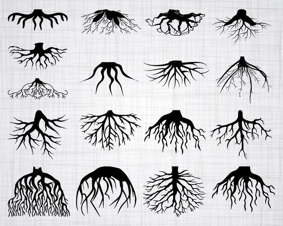 roots clipart svg
