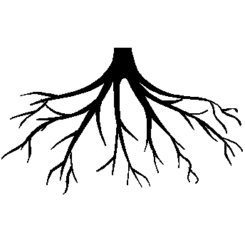 roots clipart transparent background
