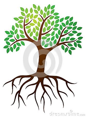 Roots clipart tree branch. Logo download from over