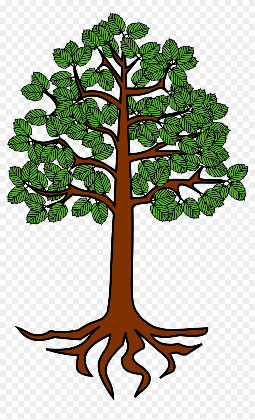  collection of with. Roots clipart tree diagram