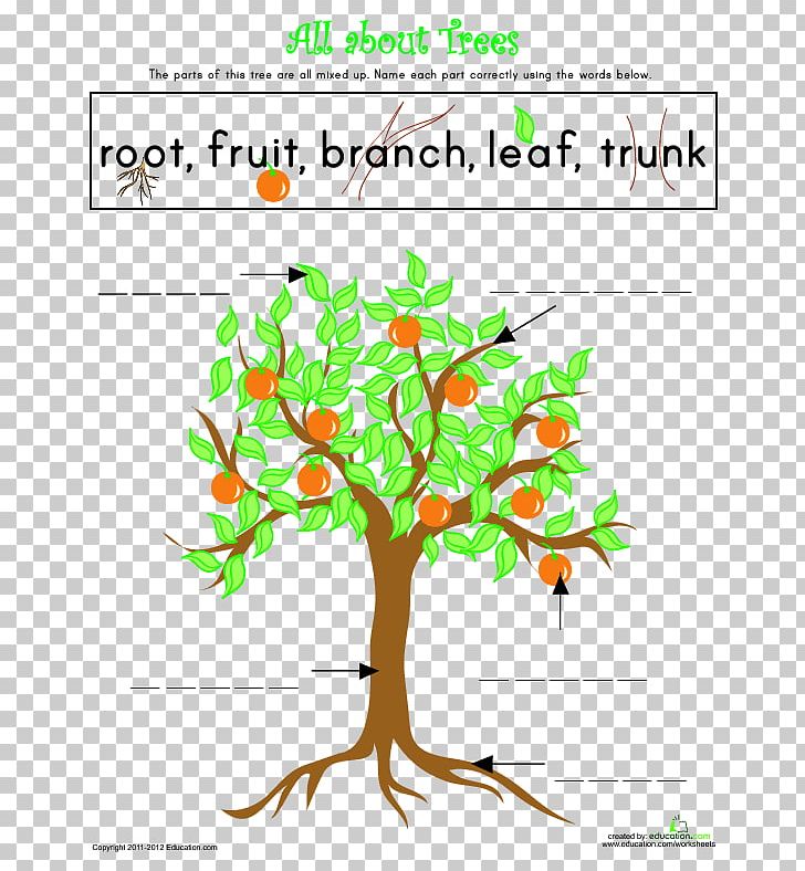 roots clipart tree diagram