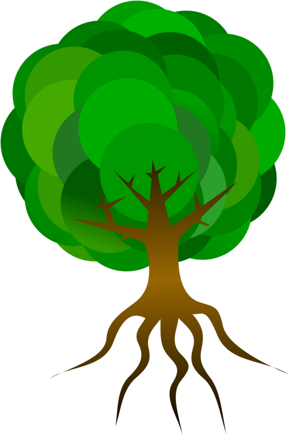 Roots tree outline