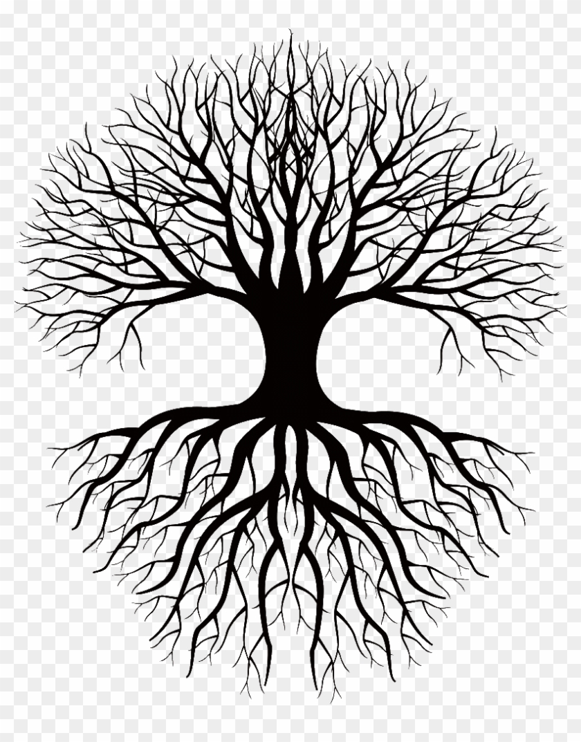 roots clipart tree with deep root
