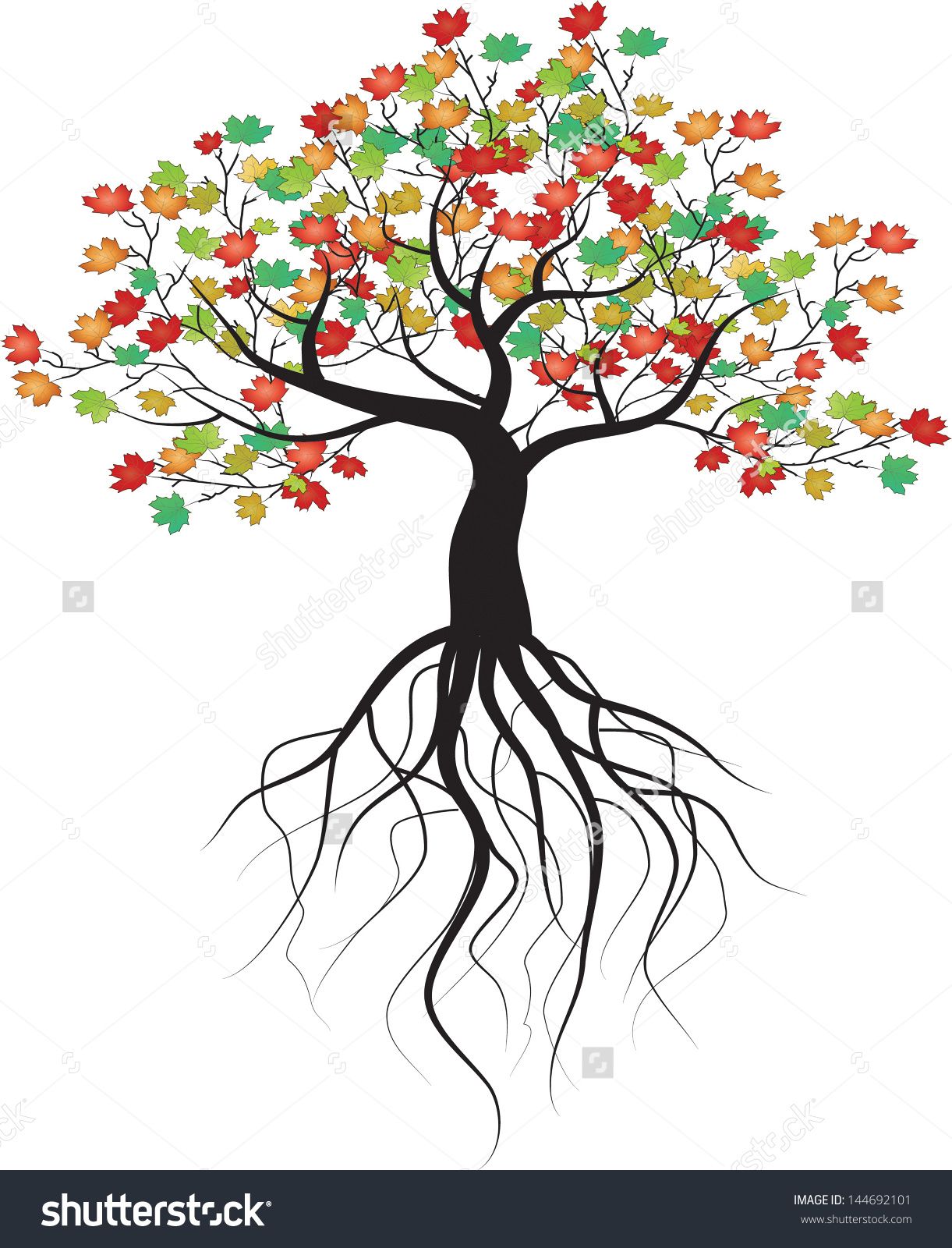 roots clipart wit