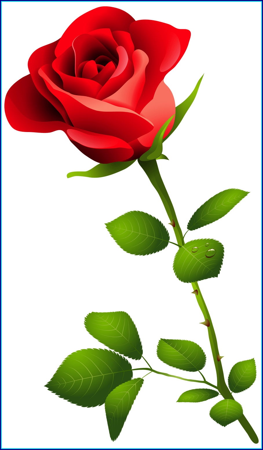 rose clipart birthday