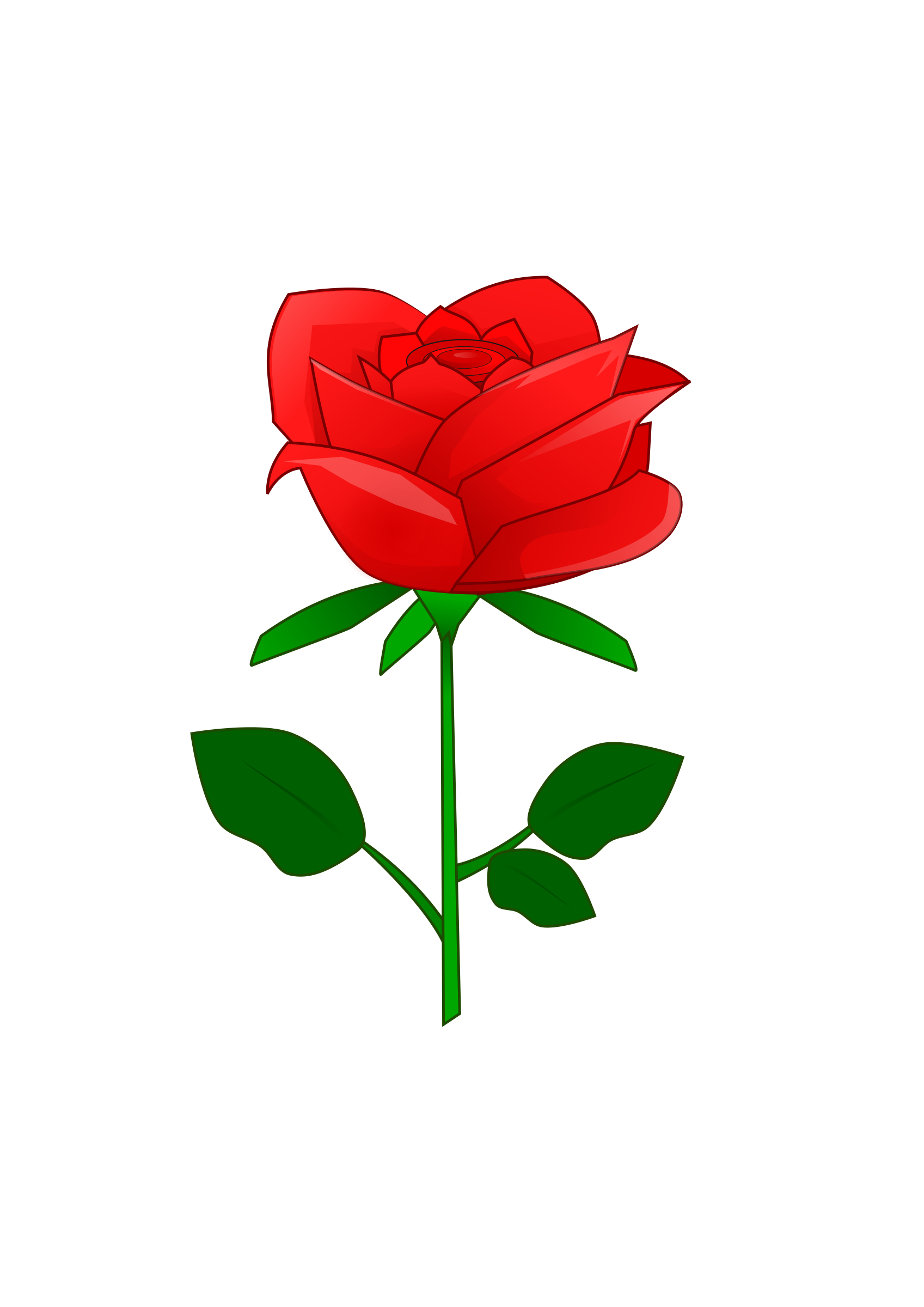 rose clipart blossom