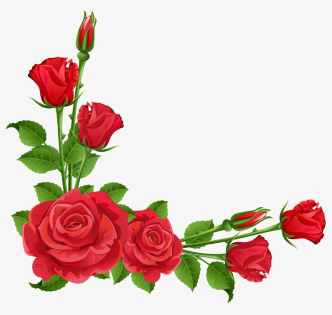 rose clipart boarder