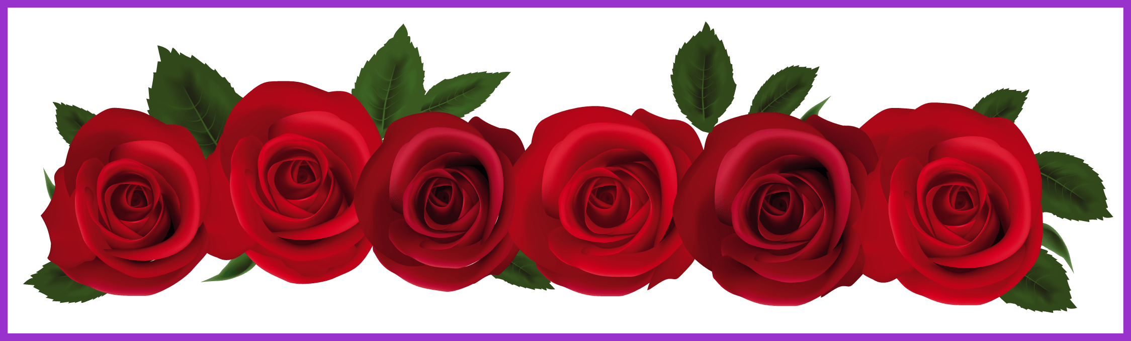 Rose border png. Amazing pink clipart flower