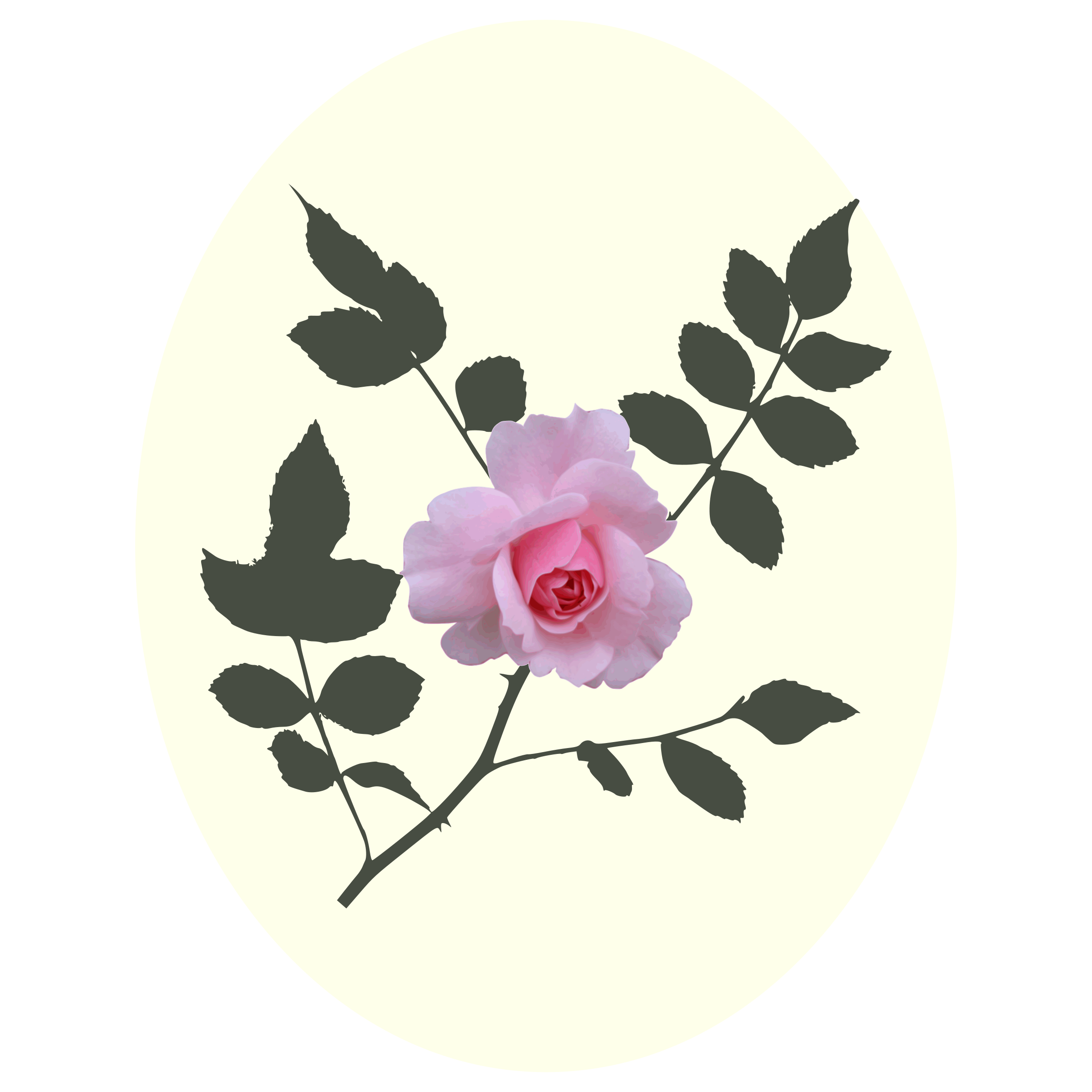 rose clipart branch