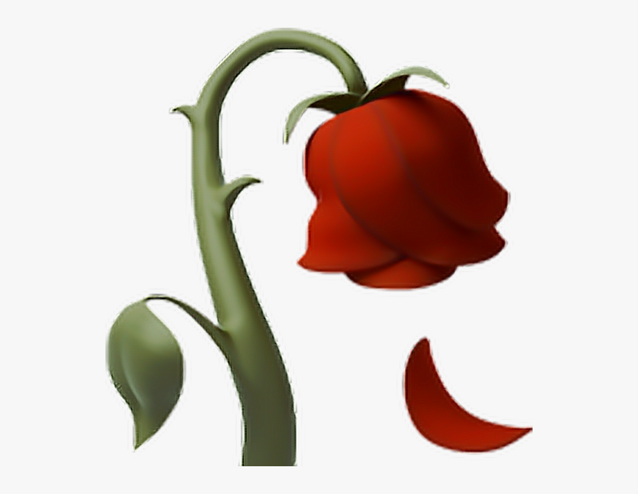 rose clipart dying