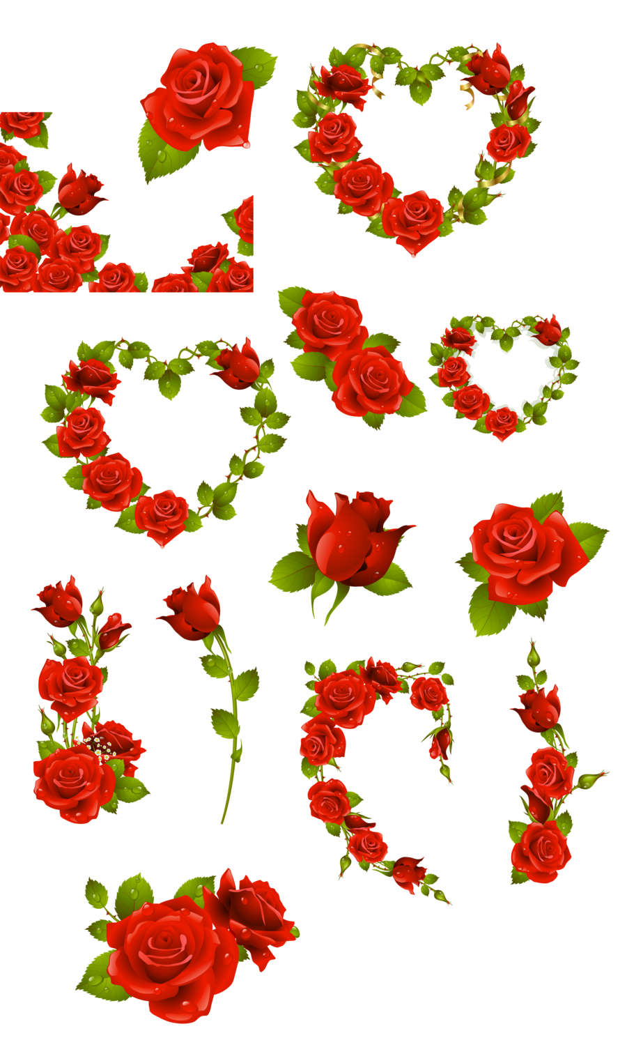 rose clipart english rose