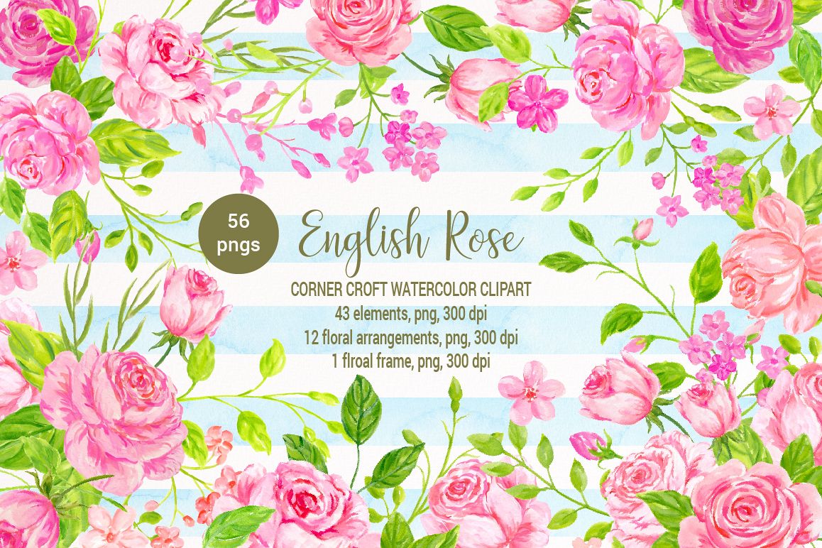 rose clipart english rose