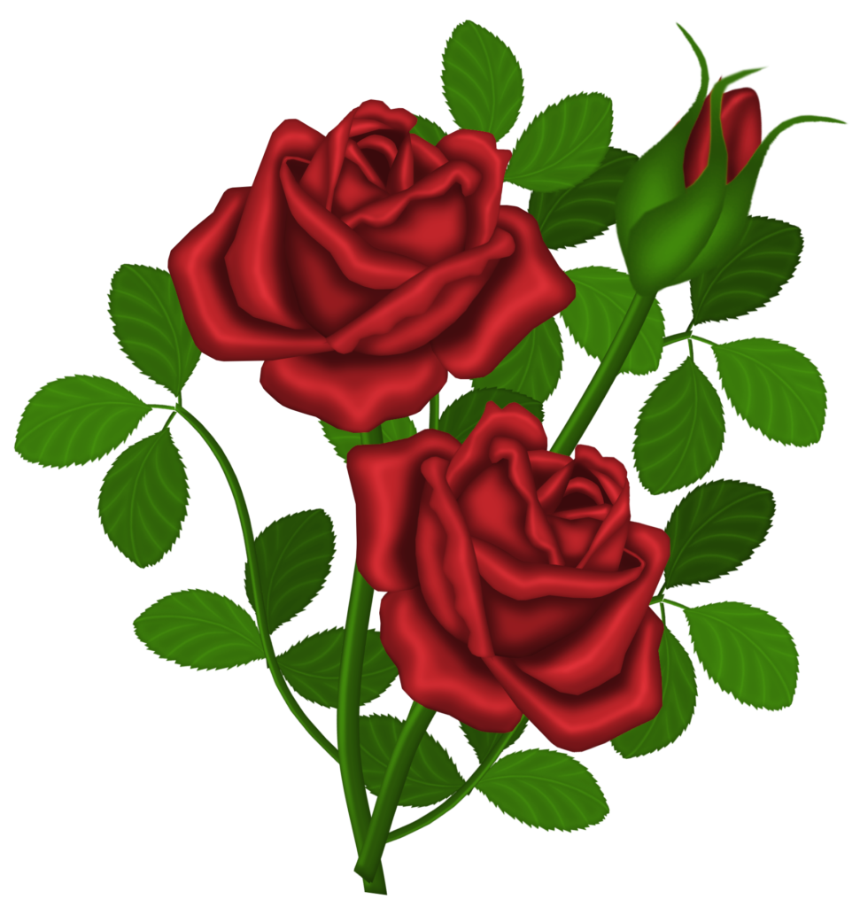 rose clipart face