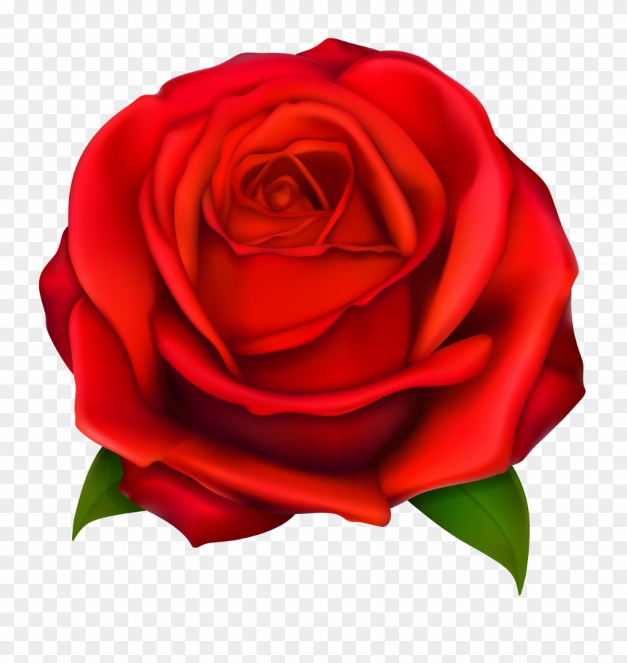 rose clipart head