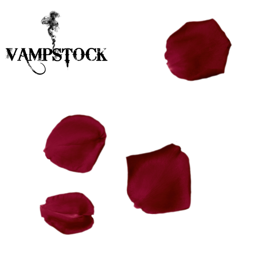 rose clipart maroon