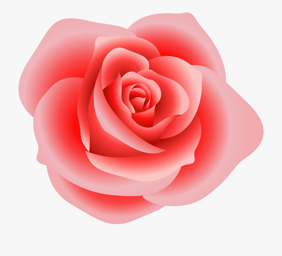 rose clipart pink rose
