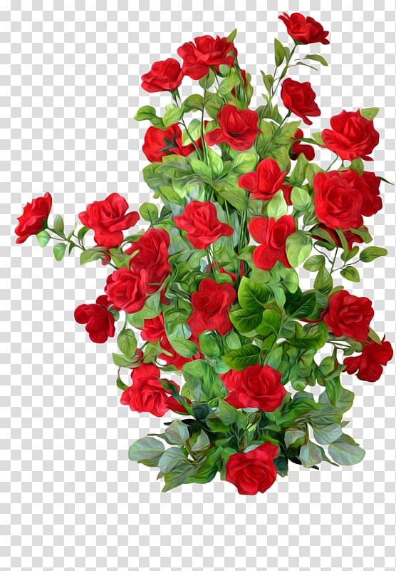 rose clipart rose bush