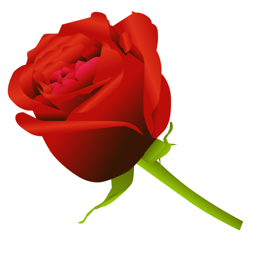 rose clipart vector