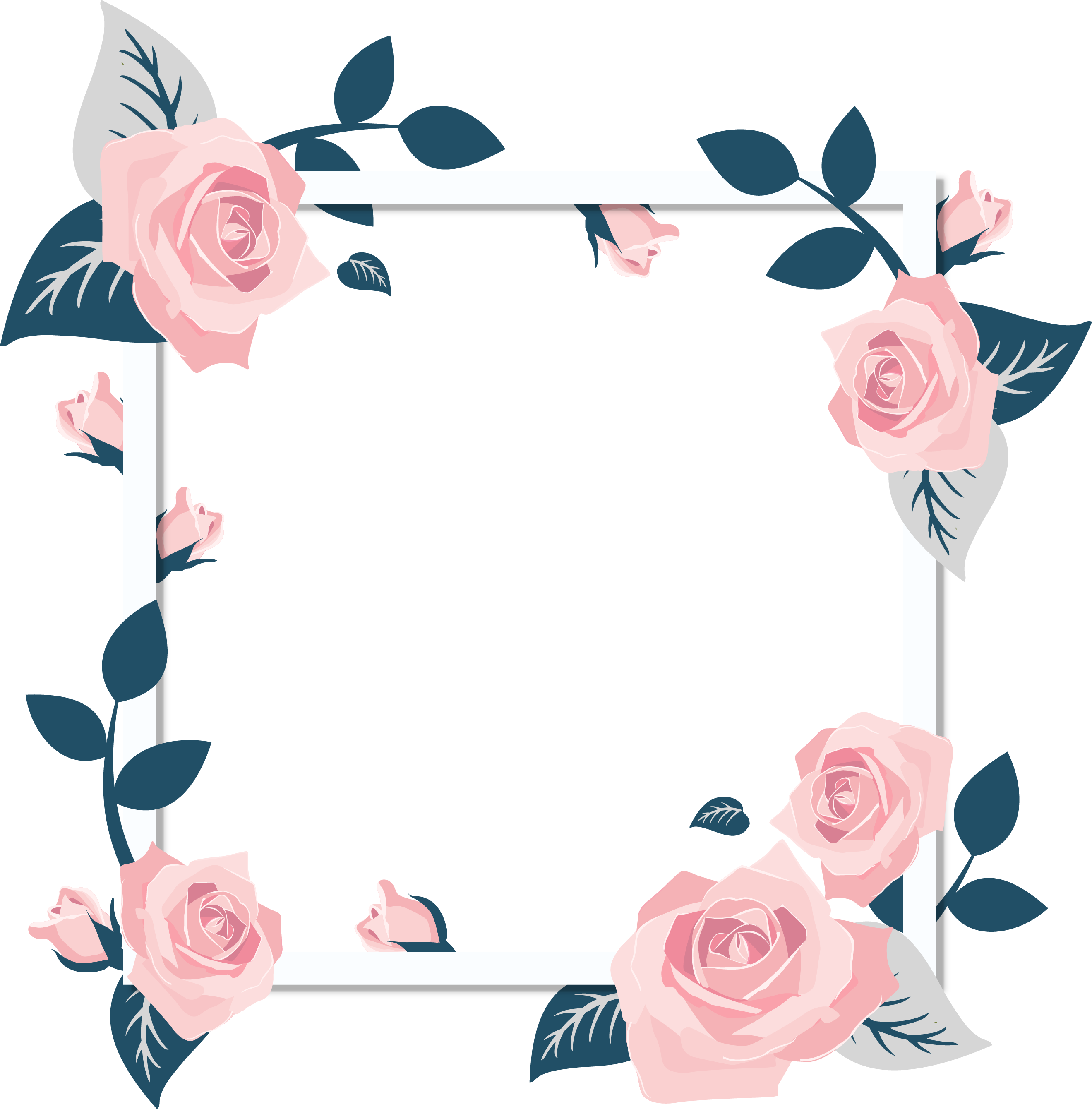Rose frame png. Images a flower that