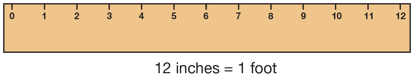 ruler clipart 12 inch