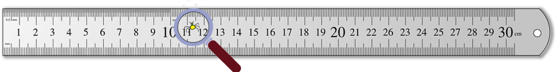ruler clipart 30 cm