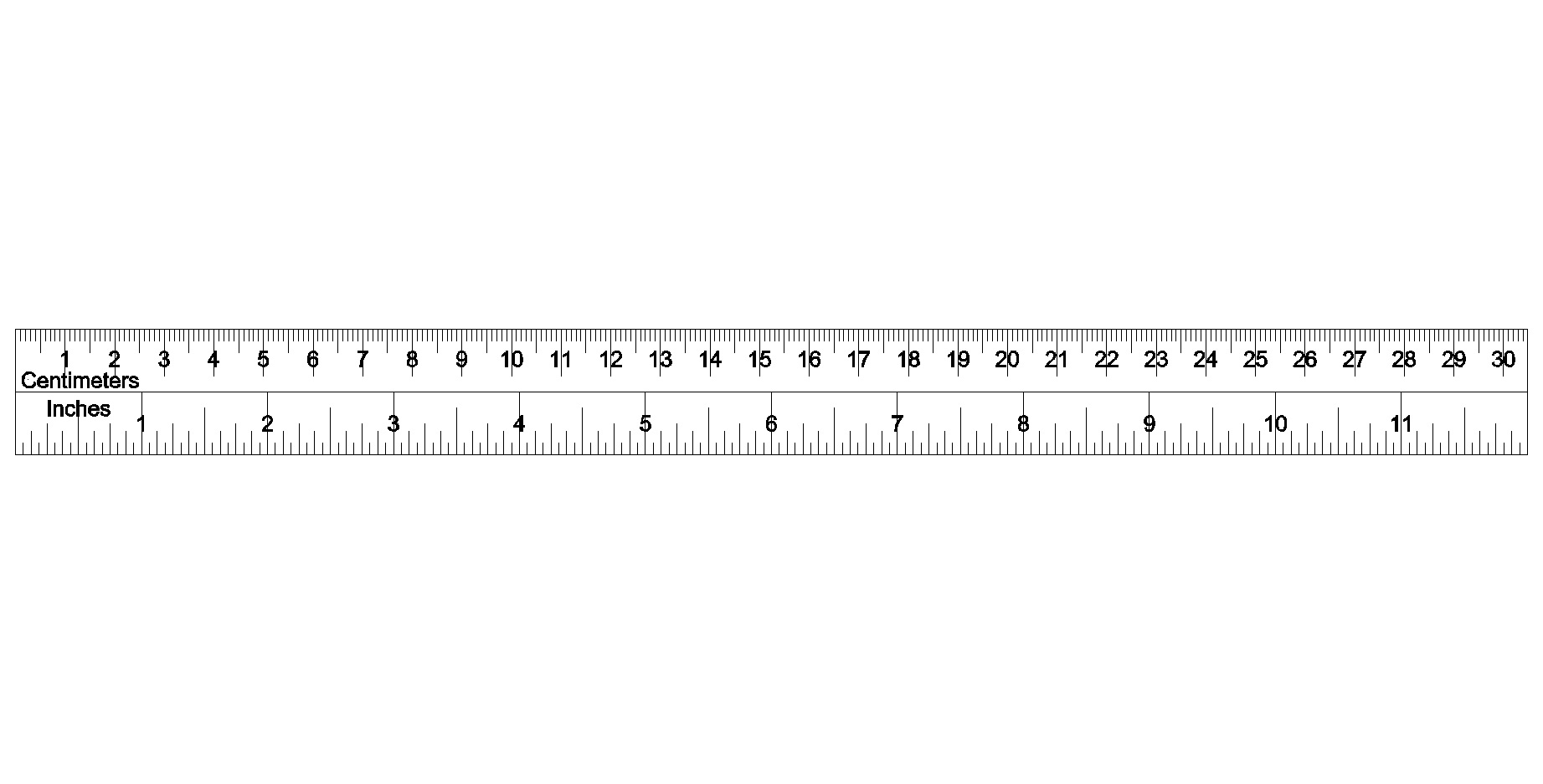 real life size ruler inches