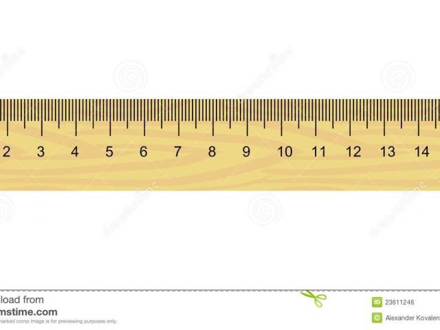 ruler clipart life size