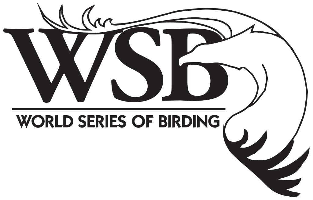 Series of birding. Rules clipart rule the world